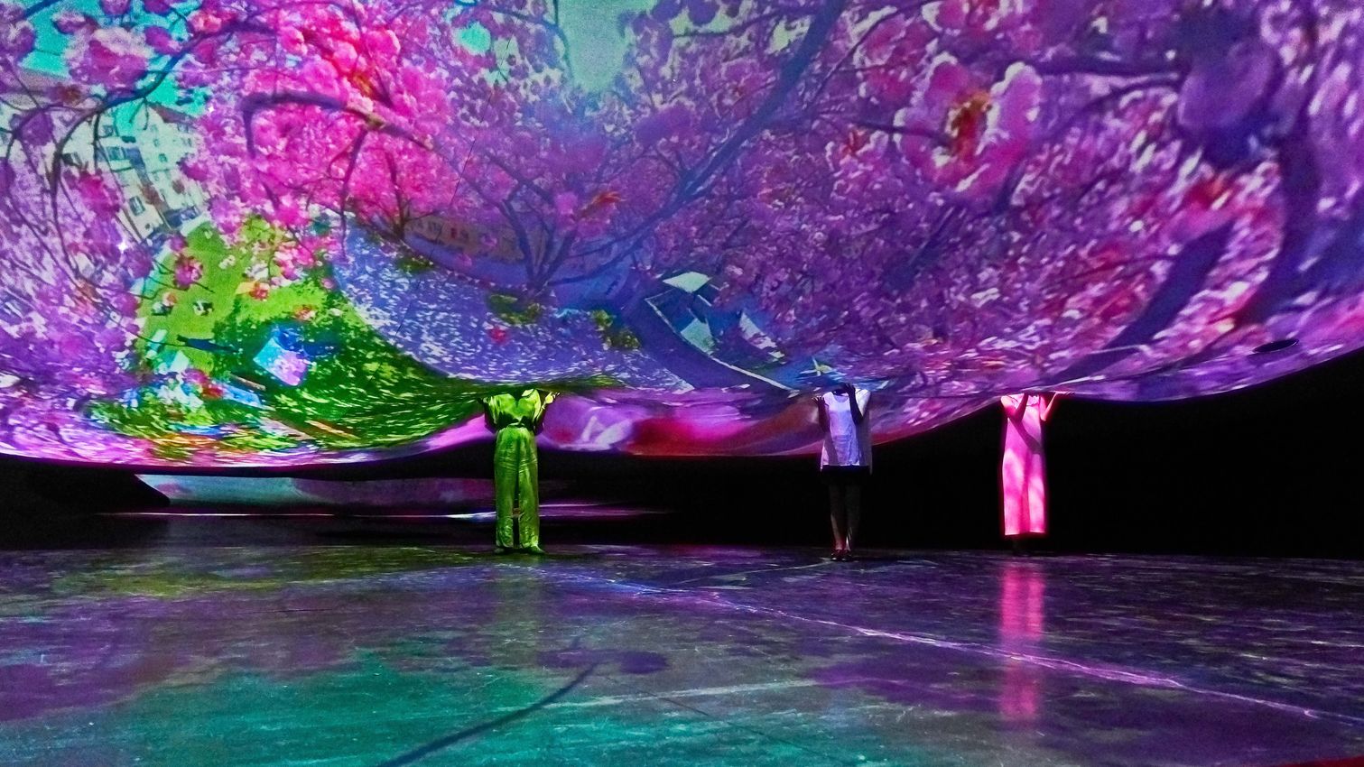 All ergic Rose, 2007 by Pipilotti Rist | Ocula