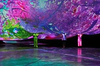 Contemporary art exhibition Pipilotti Rist Your Palm is My Universe at UCCA UCCA Beijing China