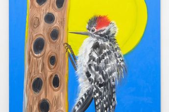 Ann Craven contemporary artist