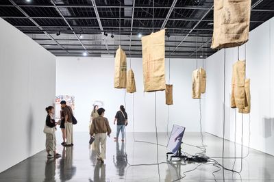 Busan Biennale 2024 Seeing in the Dark