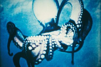 Contemporary art exhibition Jack Goldstein Under Water Sea Fantasy at Galerie Buchholz Cologne Germany