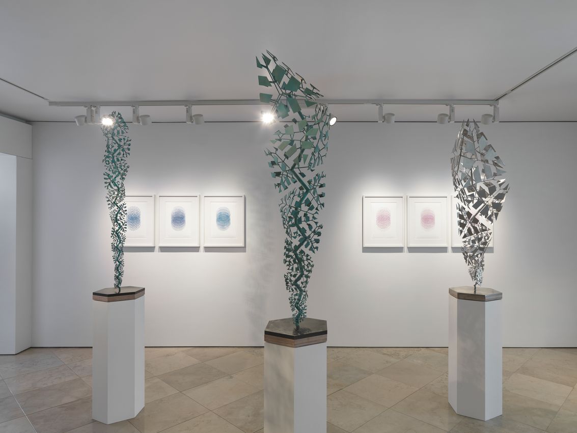 Conrad Shawcross