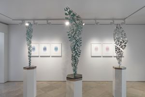 Conrad Shawcross