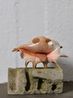 Molusce 4 by Raphael Danke contemporary artwork Sculpture