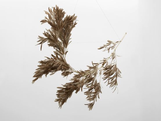 Roiseau 12 by Gabriel Orozco contemporary artwork Sculpture