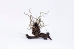 Mignon Votive Electrifying Seedpod 7 by Haegue Yang contemporary artwork Sculpture