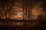 Untitled 11599-5811 by Todd Hido contemporary artwork photography