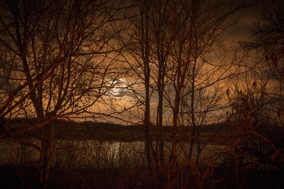 Untitled 11599-5811 by Todd Hido contemporary artwork Photography