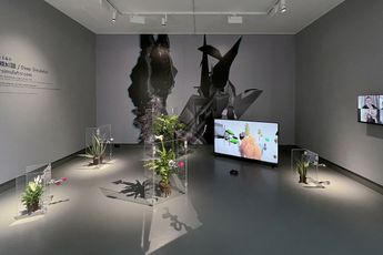 aaajiao contemporary artist