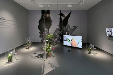 aaajiao contemporary artist