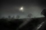11927-6053 by Todd Hido contemporary artwork photography