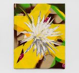 Moonflower by Shezad Dawood contemporary artwork painting textile