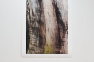 Anne Noble