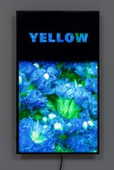Colorvision Yellow by Diana Thater contemporary artwork installation moving image