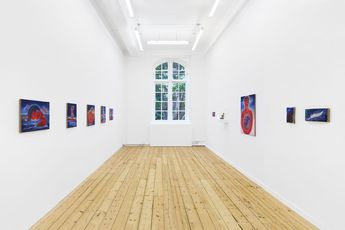 Contemporary art exhibition Daniel Correa Mejia Cuando el depredador esta lejos los pajaros cantan When the predator is far away the birds sing at Maureen Paley Studio M United Kingdom