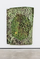 Hedge 1 by Kim Fisher contemporary artwork print