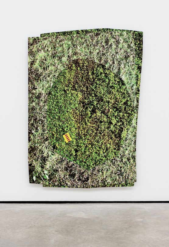 Hedge 1 by Kim Fisher contemporary artwork Print