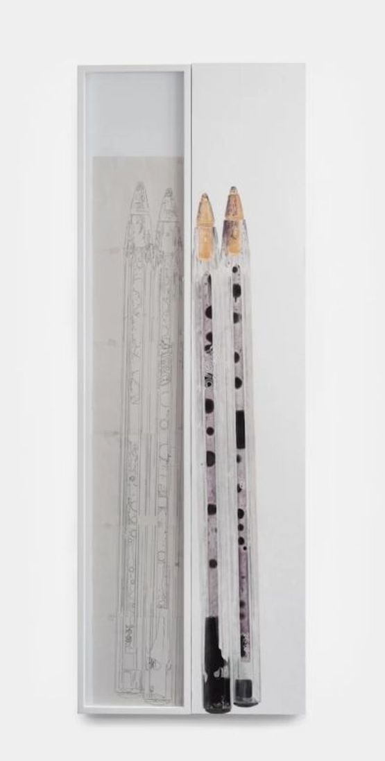 Plastic Skeleton & Inside Rearranged Region, 2024 by Elise Nguyen Quoc ...