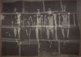 Untitled by David Noonan contemporary artwork installation