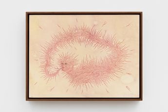 Felipe Baeza contemporary artist