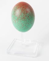 Untitled by John Knuth contemporary artwork sculpture