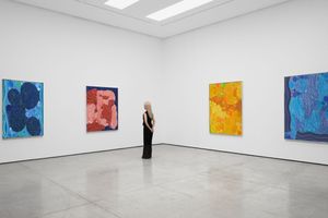 Lynne Drexler