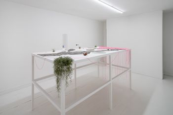 Untitled  by Alice Wang contemporary artwork sculpture