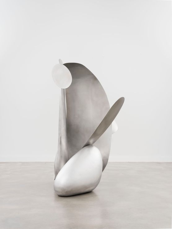 Microworld NO. 8 by Liu Wei contemporary artwork Sculpture