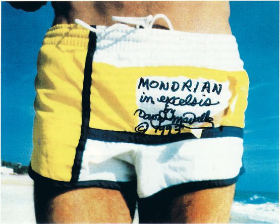 MONDRIAN IN EXCELSIS A live event by Adam Nankervis and David medalla Fire Island New York 1993 by Mondrian Fanclub david Medalla  Adam Nankervis contemporary artwork Photography