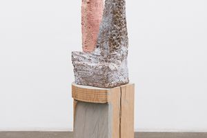 Arlene Shechet