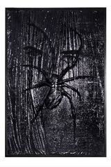 Fancy_Violence_Tarantula_Alvorada  by Rodolpho Parigi contemporary artwork painting