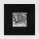 Evergreen Dazed Buena Vista Park by Simon Haas contemporary artwork drawing