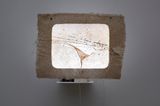 Letter 6 by Amar Kanwar contemporary artwork mixed media