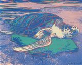 Sea Turtle F. S. II.360A by Andy Warhol contemporary artwork print