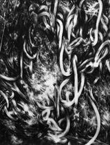 Nocturne VII by Julia Steiner contemporary artwork painting