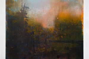 Elizabeth Magill