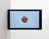 Hole by Ronnie Van Hout contemporary artwork mixed media