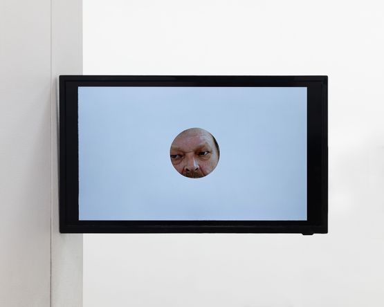 Hole by Ronnie Van Hout contemporary artwork Mixed Media