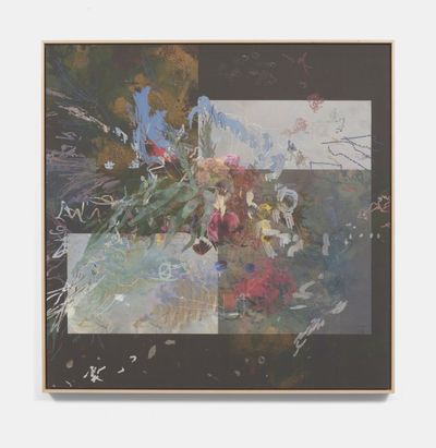 Petra Cortrights Digital Deconstructions