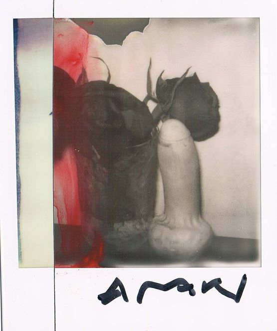 Kekkai by Nobuyoshi Araki contemporary artwork Photography