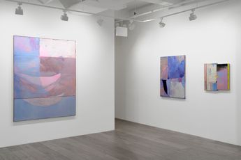 Contemporary art exhibition Dana James Pearls  Potions at Hollis Taggart New York L1 United States