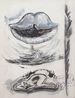 Bell Sound by Hou Chunming contemporary artwork Drawing