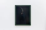 Female Huia Canterbury Museum by Fiona Pardington contemporary artwork Photography