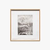 Poaceae VIII by Tue Greenfort contemporary artwork print