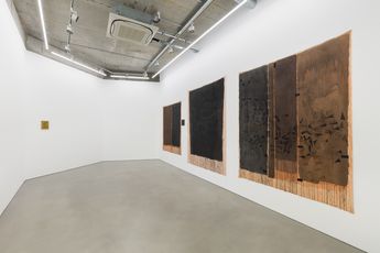 Contemporary art exhibition Avis Newman Watching the Map at Maureen Paley London United Kingdom