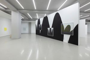 Christine Sun Kim