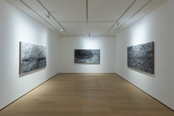 Contemporary art exhibition Ren Sihong Enlightenment at Whitestone Gallery Hong Kong