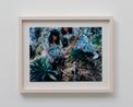 plantingLA2015 by Fumiko Imano contemporary artwork Photography