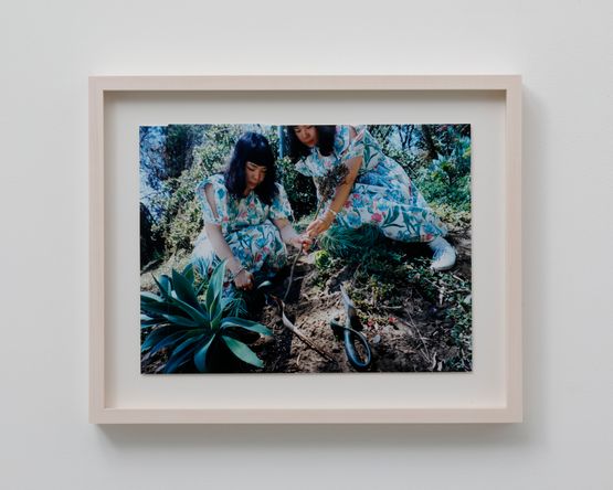 plantingLA2015 by Fumiko Imano contemporary artwork Photography