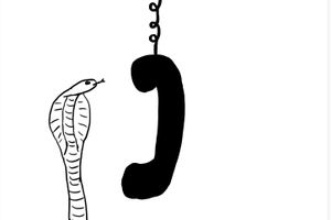 David Shrigley